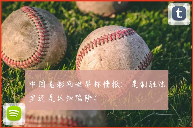 中国竞彩网世界杯情报：是制胜法宝还是认知陷阱？