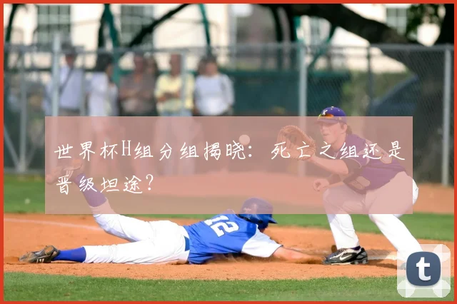 世界杯H组分组揭晓：死亡之组还是晋级坦途？