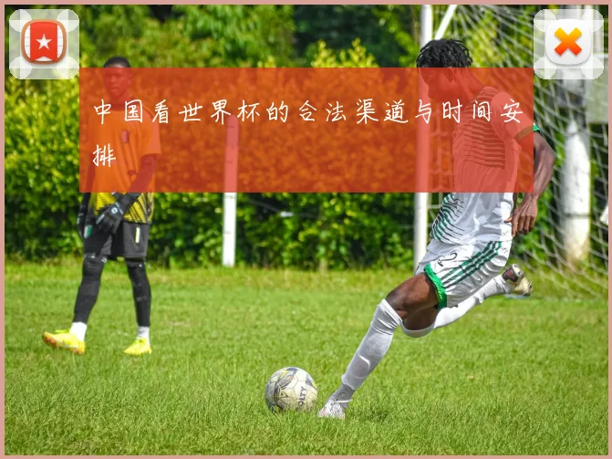 中国看世界杯的合法渠道与时间安排