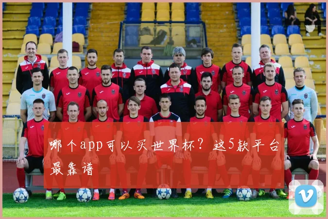 哪个app可以买世界杯？这5款平台最靠谱