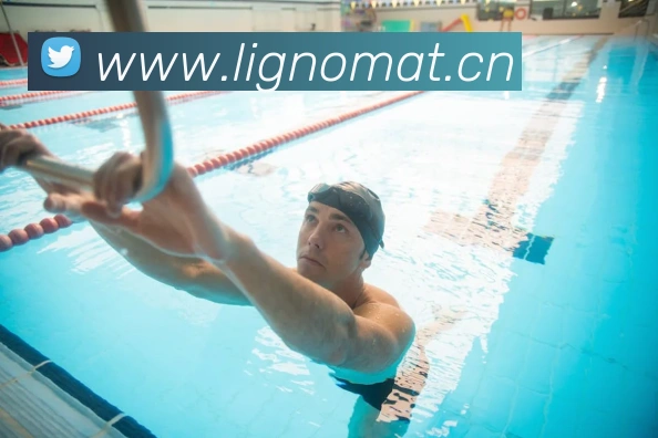 华体在线登录入口平台生态图