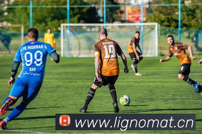 华体在线登录入口全站App